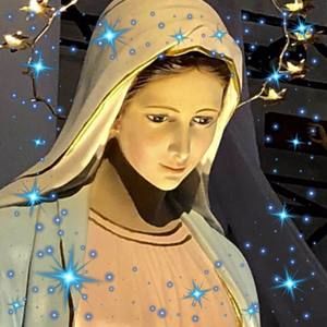 Meet your Posher, Dulce